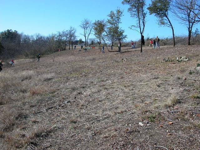  A former privet patch. Significant trees were retained. 