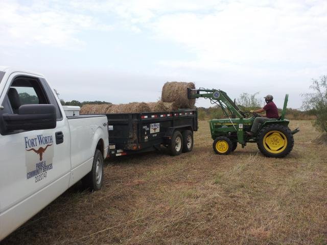 Loading and hauling hay from Demo Prairie6.jpg