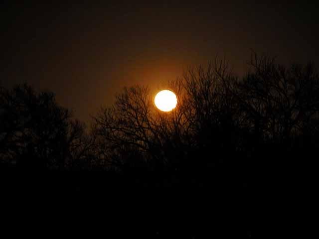  Full Wolf Moon shining brightly over Tandy Hills on January 24. 