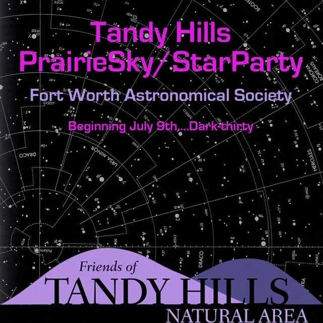 Scan_invert_all black-2_REVISED_edited-1 copy.jpg