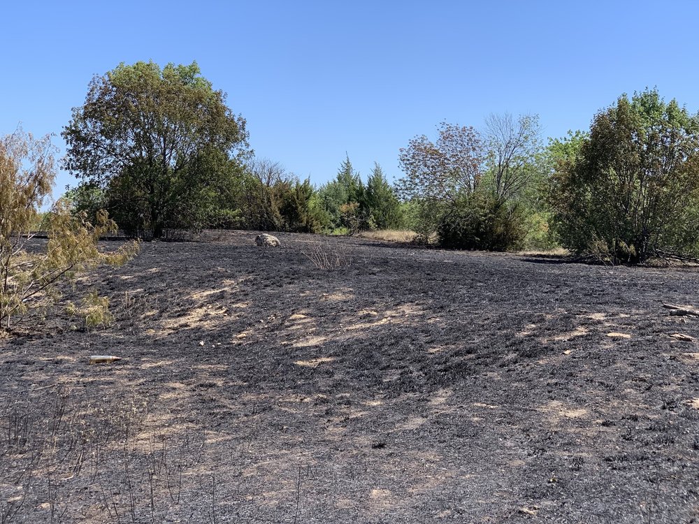  A medium size un-prescribed burn caused by fireworks on July 4th. 