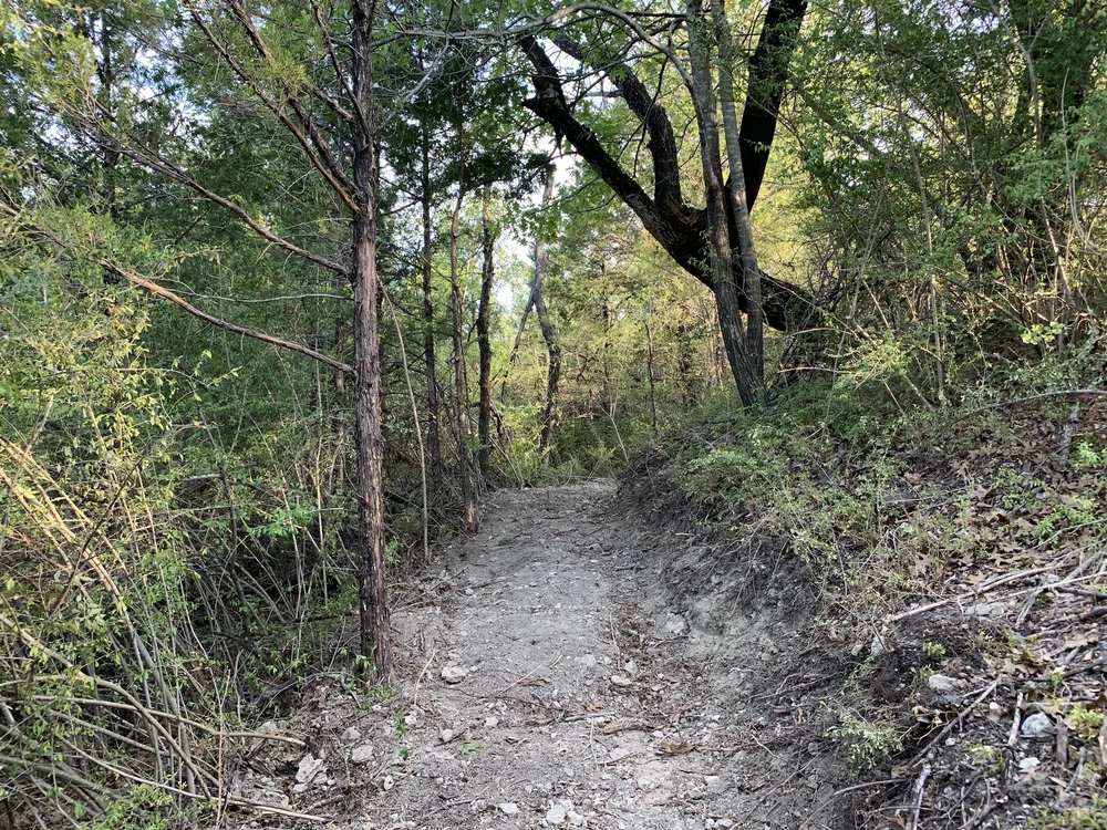  New trail reroute on the far north end of the Main Trail closes an eroded trail. 