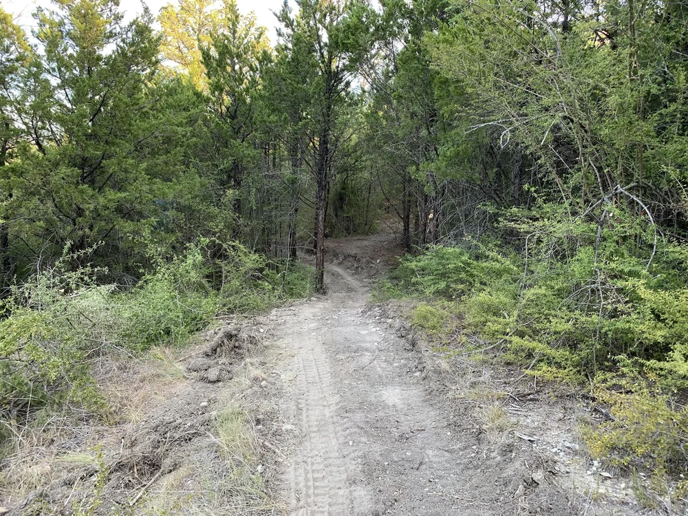  Until now, this area of dense forest was unavailable for hiking. 