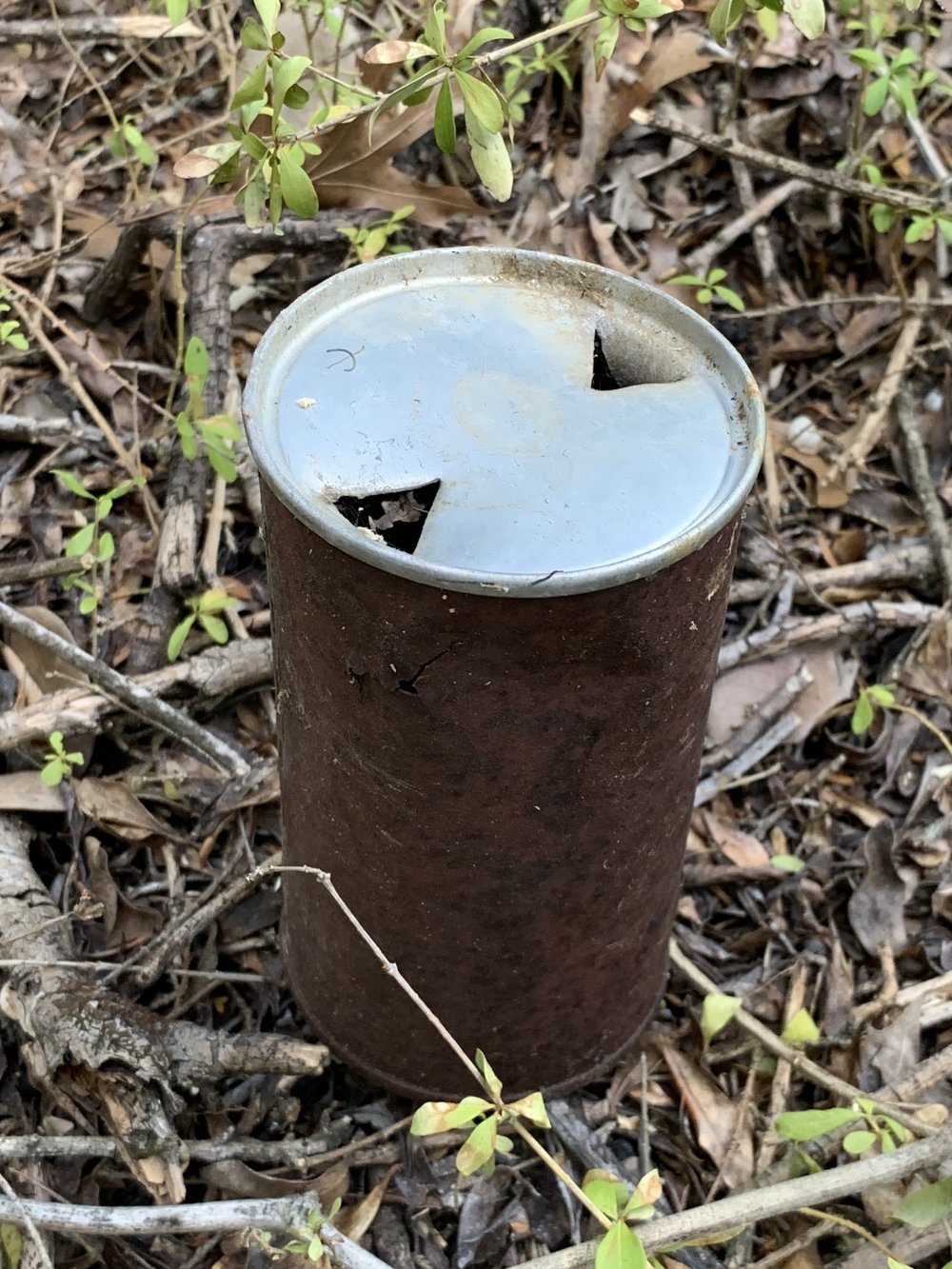 Among the artifacts found when blazing the new trail: Pearl Beer can before pop-tops that required a “church-key” to open. 