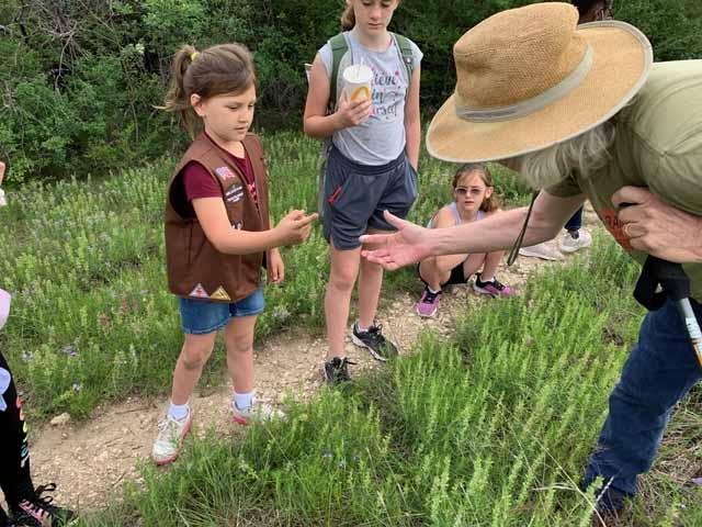  Checking out the wonders of&nbsp; Spittle Bugs &nbsp;with a group of Girl Scouts. 
