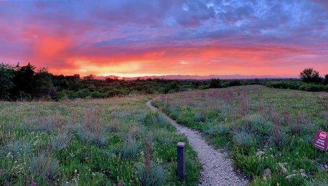  The prairie sunset on&nbsp; May 31th, 2021 &nbsp;was unusually striking. 