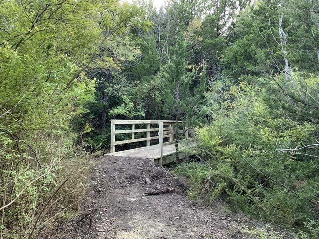  The first of several new bridges on a newly created trail. 