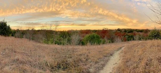  A stunning view of Tandy Hills from December 3, illustrating&nbsp;how our local prairie is truly a&nbsp; national treasure . 