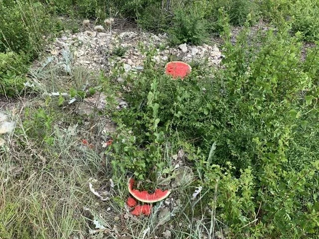  There was utter disrespect for Tandy Hills by July 4th revelers. You won't see this at The FW Nature Center. Why here? 