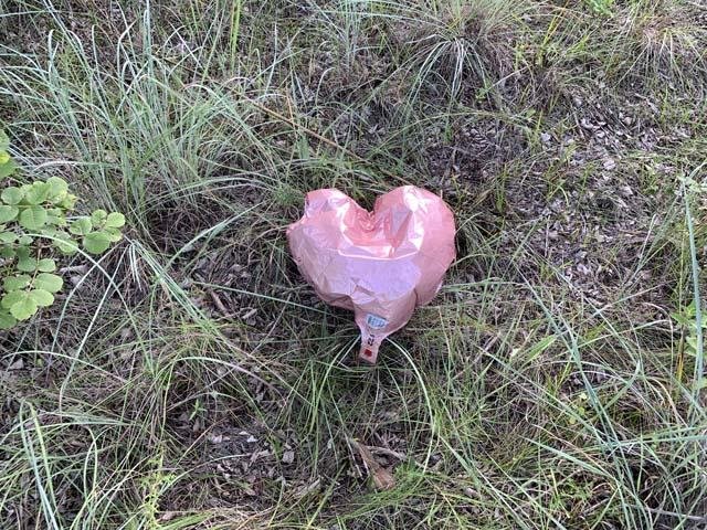  Balloon releases are a threat to wildlife and a blight on the landscape and should be banned everywhere. 