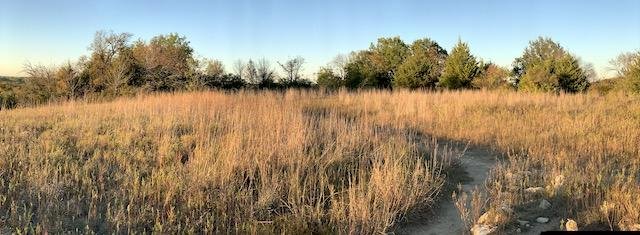  The&nbsp; Little Bluestem &nbsp;grass meadows are in prime condition right now. 