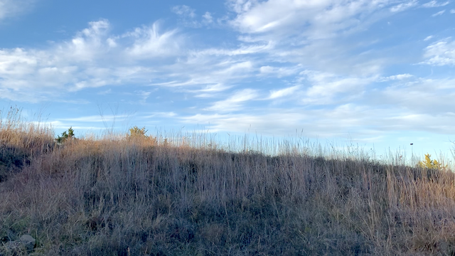  The fall prairie on a&nbsp;blue sky day will cure what ails you. 