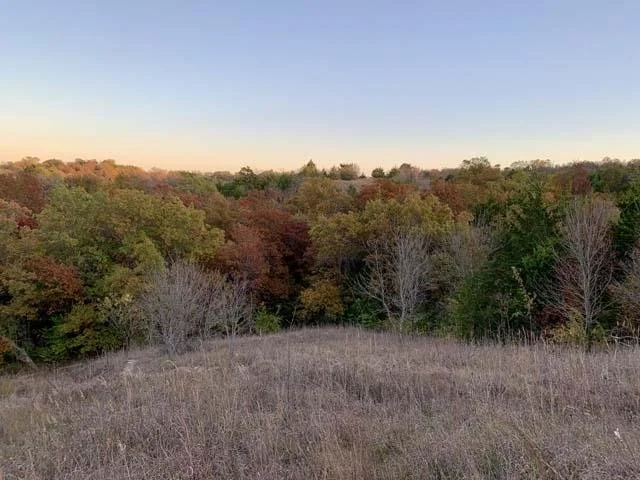  It's looking rather fallish and style-ish at Tandy Hills in late November. 