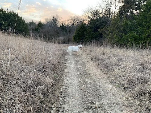  Like all new trails, this one (under construction) has a gentle grade and cuts through some scenic areas of the park. 