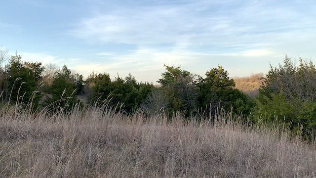  Early January prairie-scape. 