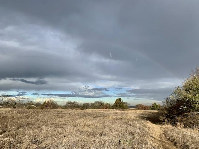  A brief and light rain blew in with a norther on January 19, creating a momentary rainbow. 