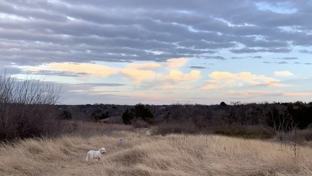  Sunset Trail hike on February 24. 