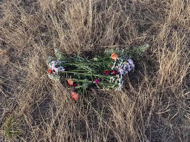  I'm all for romance on the prairie but please don't dump your imported flowers on the prairie, even if you get dumped. 