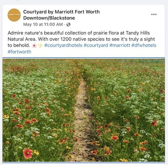  This is different. The&nbsp; Marriott &nbsp;promoted Tandy Hills on their Facebook page but did not credit the photographer. Me. 