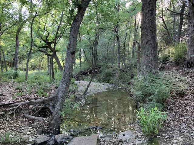  Deep shade from large trees helps the pools retain water for most of the year. 