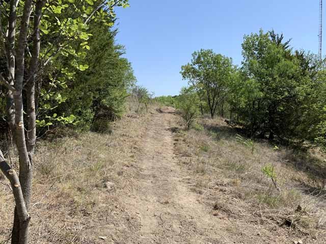  Some trails cut through shady glades of Oak and Juniper. Some trees are removed to assist prairie restoration. 