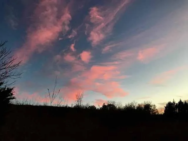Prairie Notes #120 - How Sweet It Was