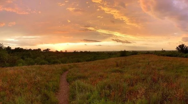Prairie Notes #151 - A Menagerie of Prairie Flora?