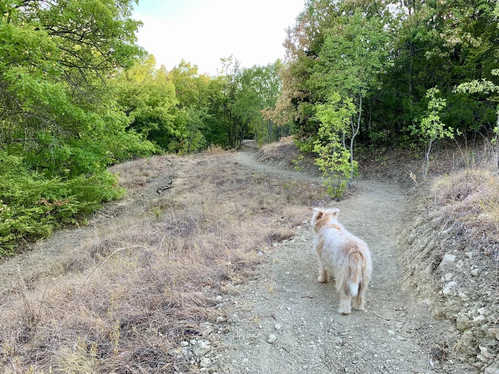  Trails are dry but inviting as of, 8/30. 