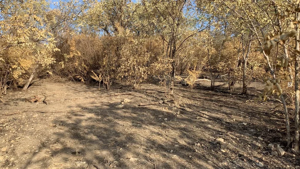  Wildfire in early August was the 3rd of the summer.  