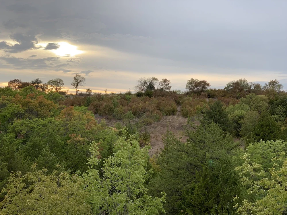  This time, the gray sky did not disappoint. 