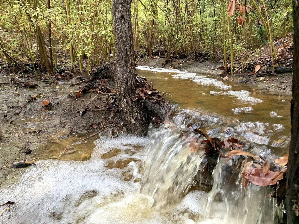  I hiked in as the rain was starting to get these shots. 
