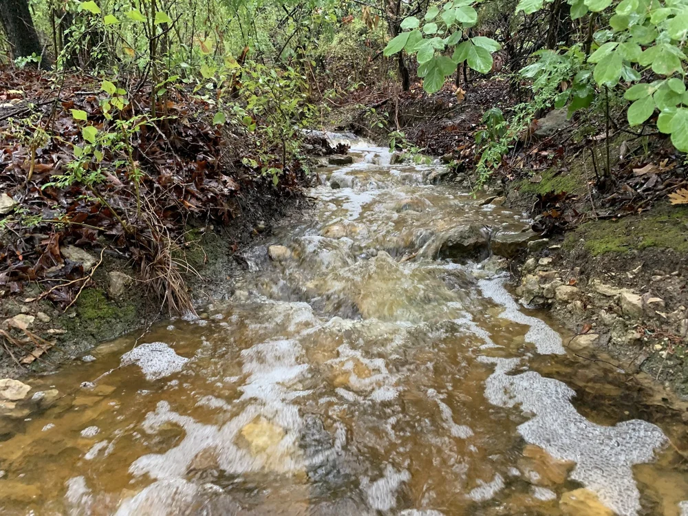  Not quite roaring rapids but still sweet. 