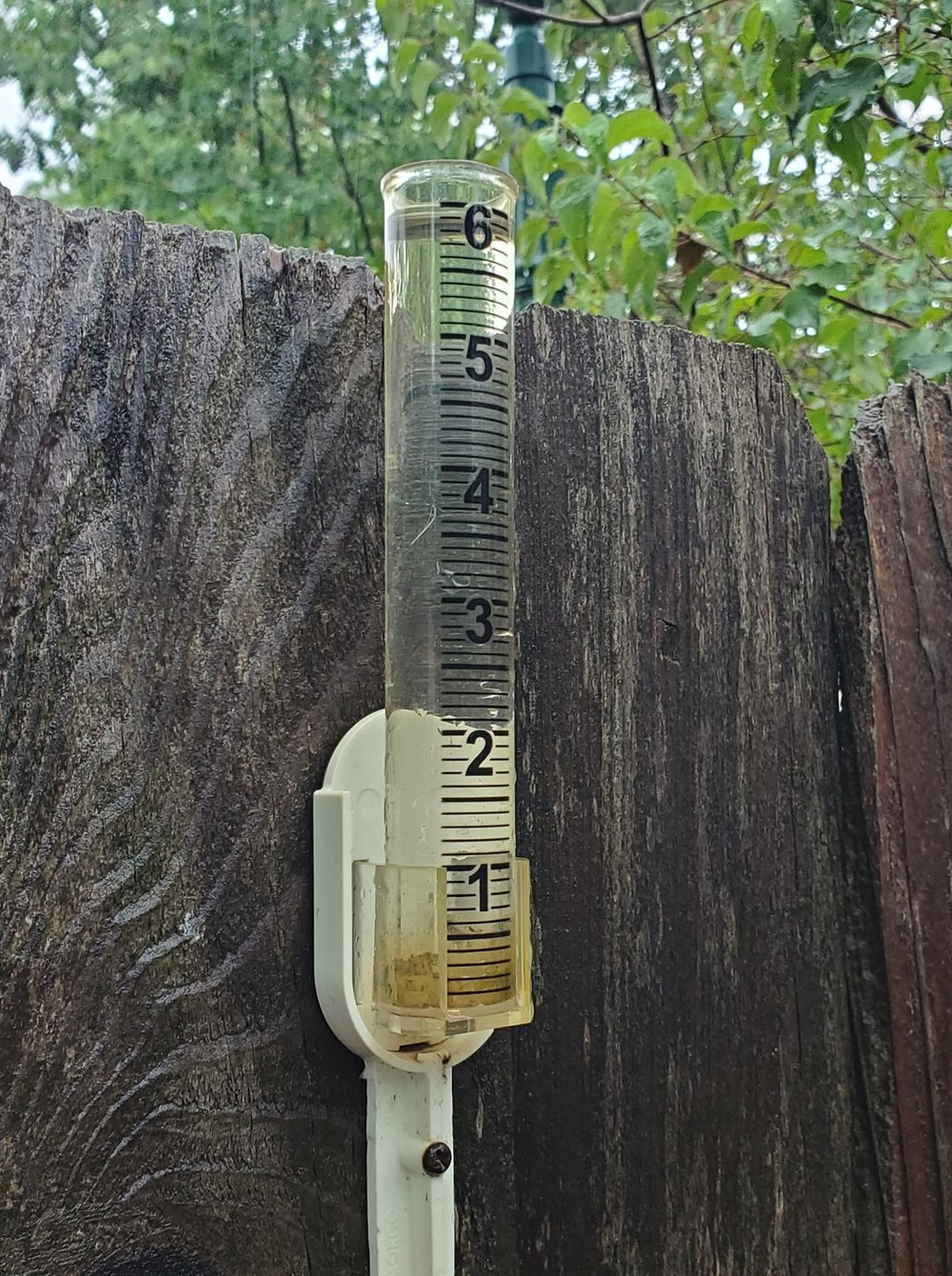  Nearby resident,  Jesse Tate’s  rain gauge tells the rainfall story. 
