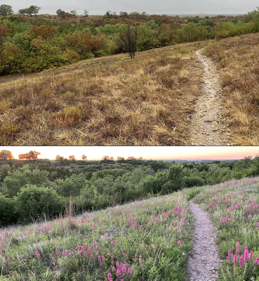  A reminder that droughts come and go but the prairie lives on. 