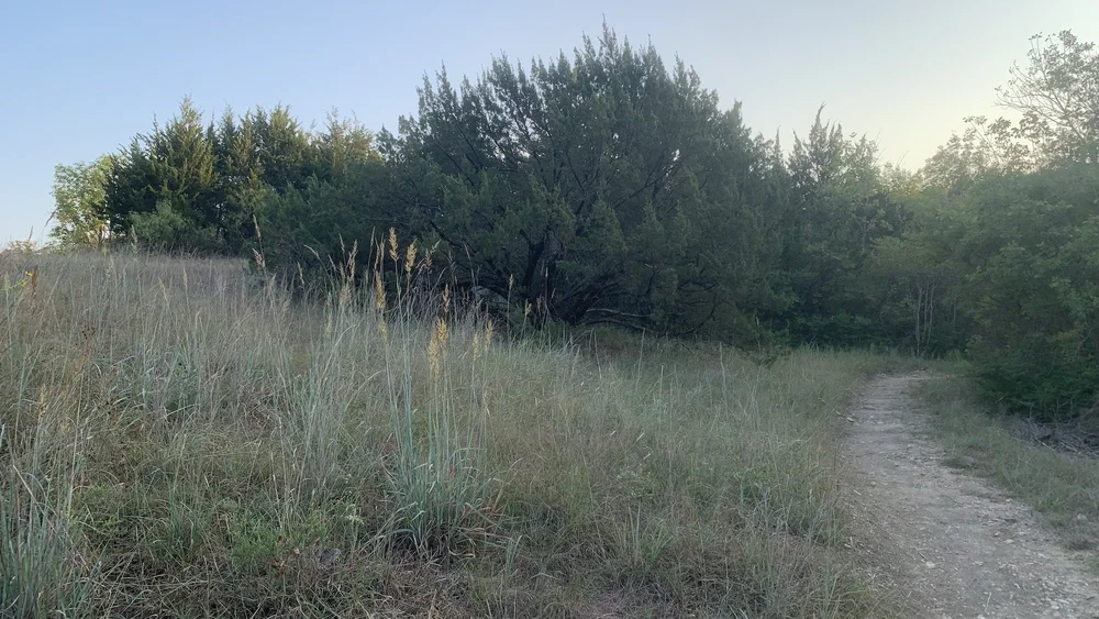  Sunset is a great time to appreciate the new trails. 