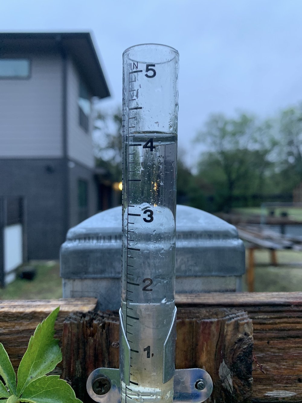  Tandy Hills received more than 4” of rain in late October. 