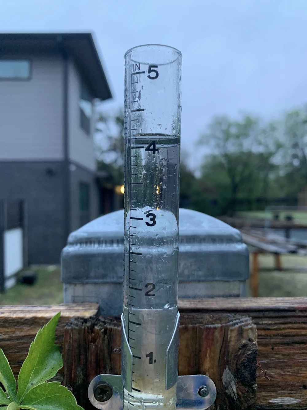  Tandy Hills received more than 4” of rain in late October. 
