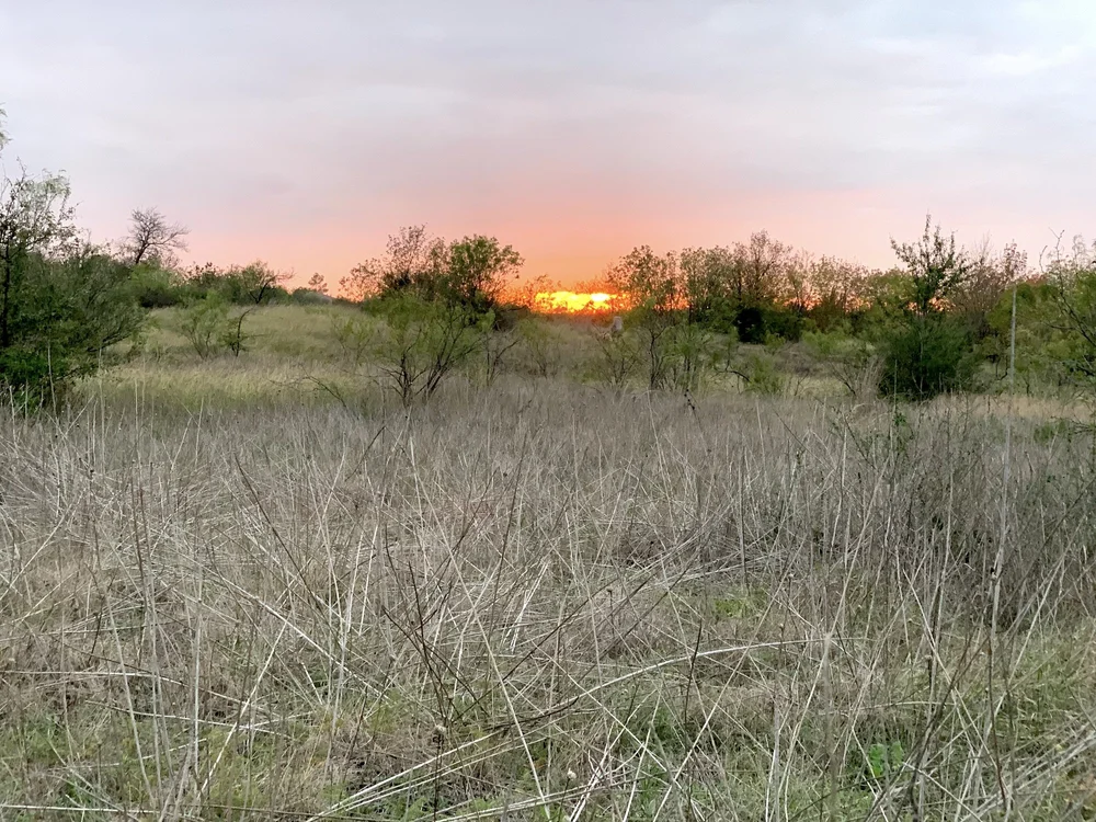  November 10: a hot sunset on a cold, fall day. 