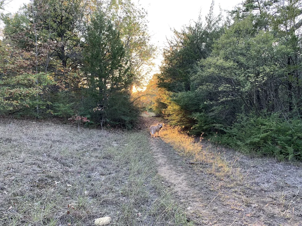  Some of that magical, angular light of late fall 
