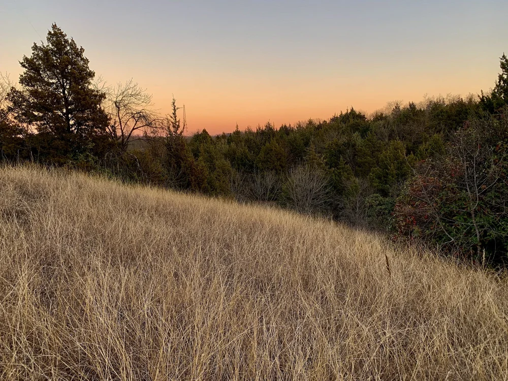  The beautiful Tandy Hills: 1/22/2022 
