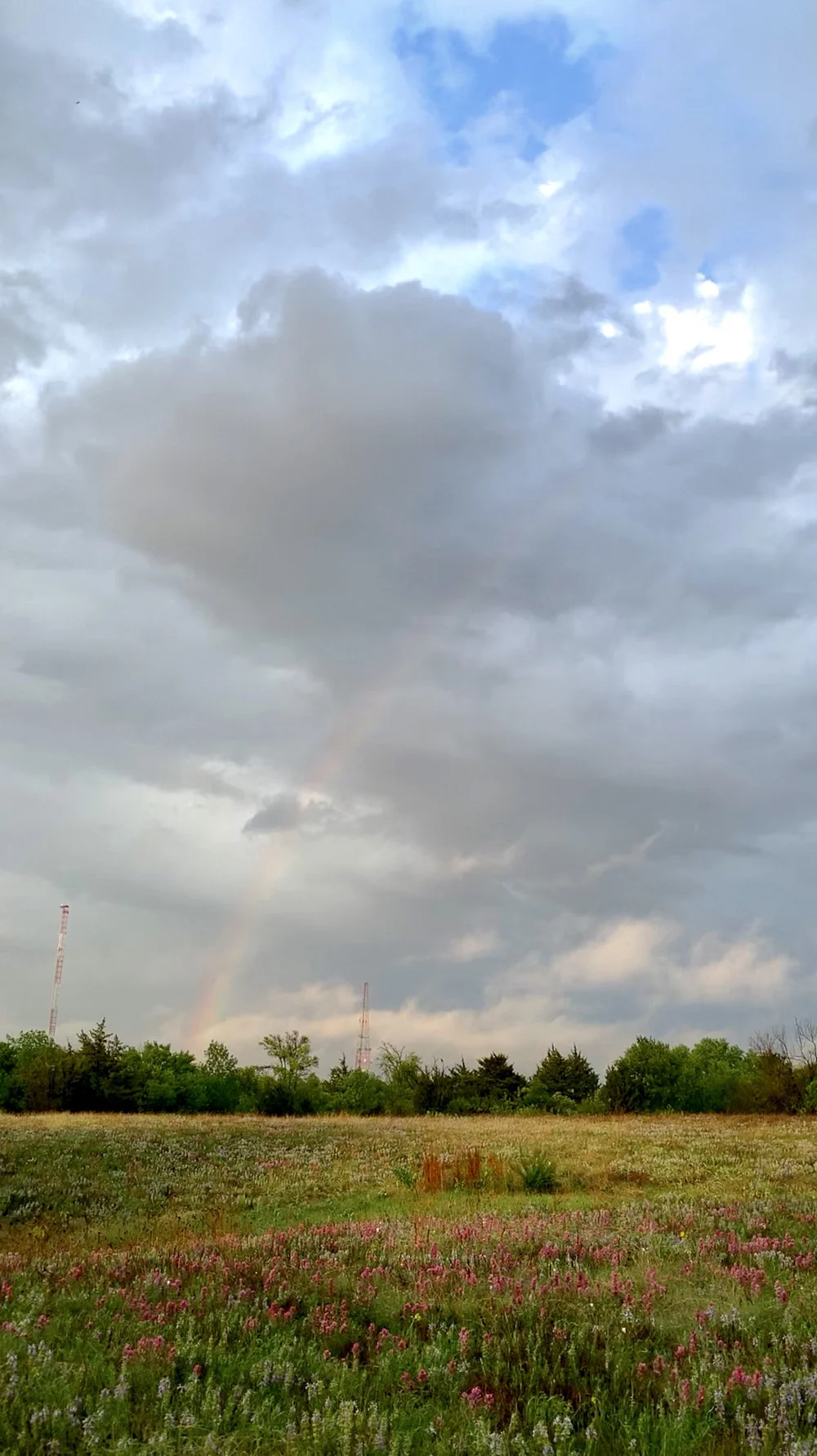  After the rain of 4/24/2022 