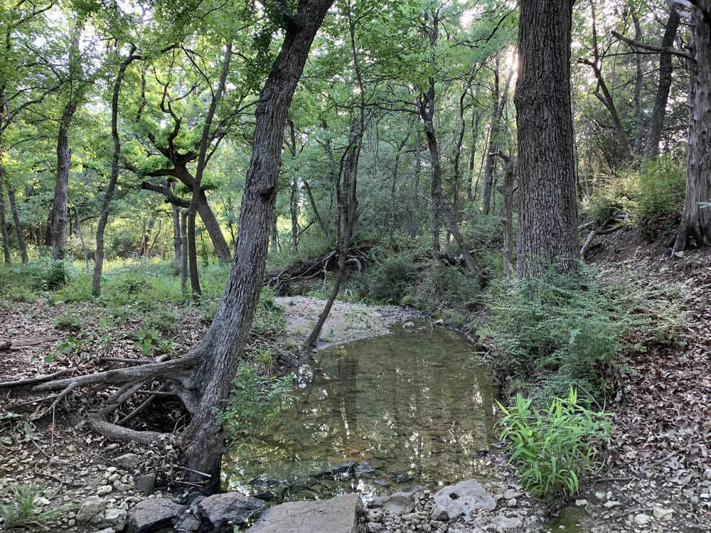  The infamous,  waylaid waterhole  was refilled in June. 