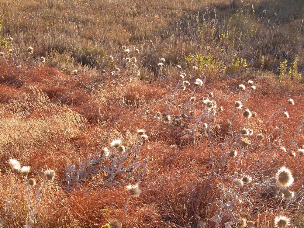  Signs of drought were everywhere. 
