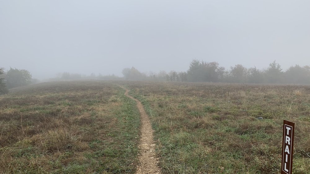  A fog tiptoed across Tandy Hills on 11/07/2022. 