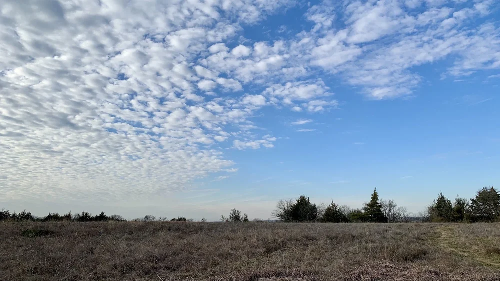  A stunning, turquoise sky above Tandy Hills on a chilly January 23rd, as the clouds started rolling in. 
