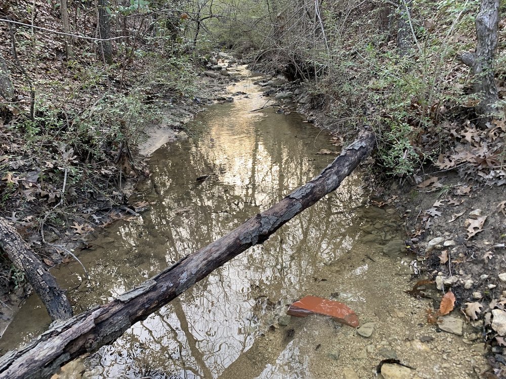  The creeks and trails were full of water in February. 