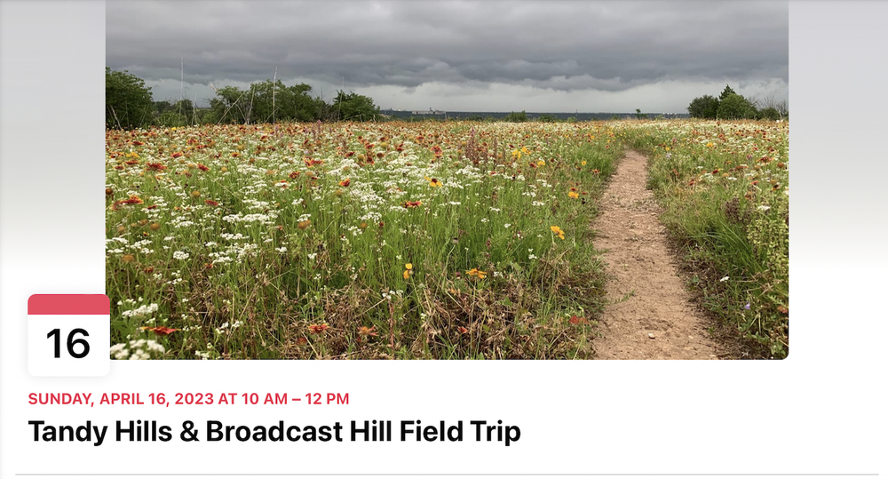  2019 photo of Tandy Hills’,  Iconic Meadow , by Don Young 