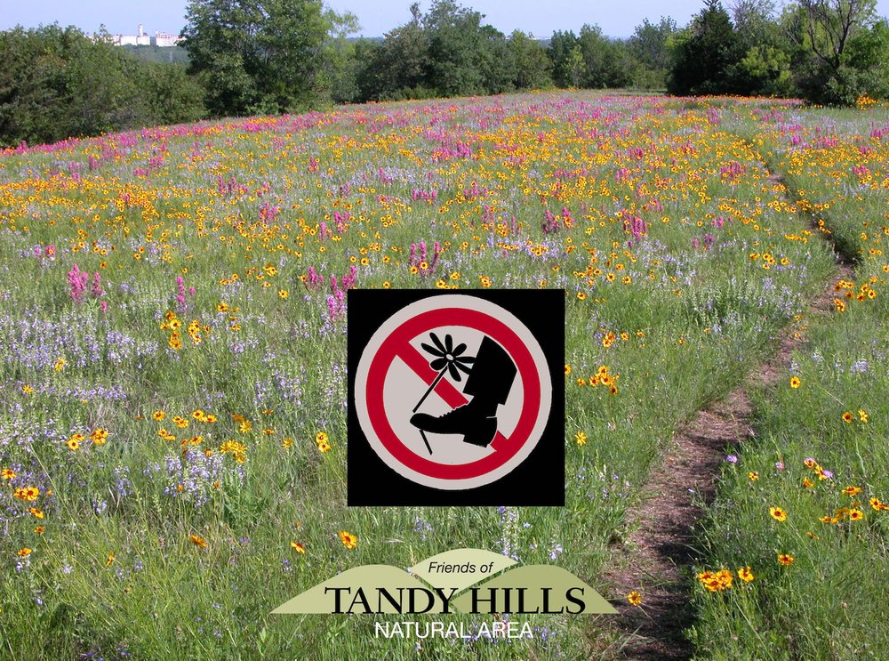  It's that time of year. Leave no trace of your visit by staying on-trail and picking no wildflowers. 