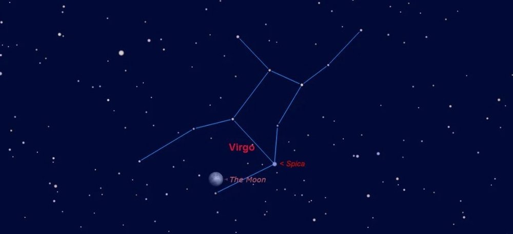 virgo-constellation-2_1024x1024.jpg copy.jpg