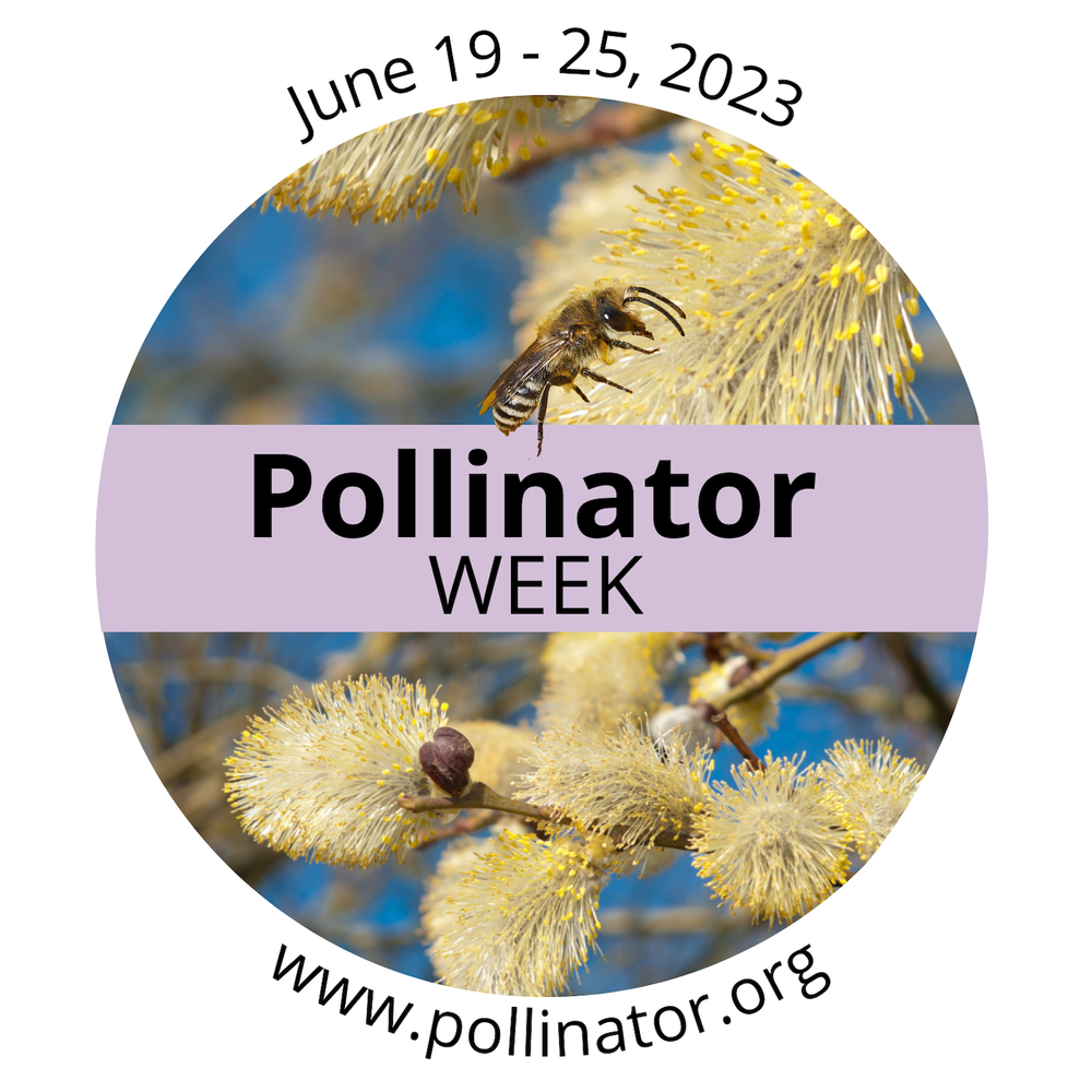 Pollinator-Week-Logo-2023.png